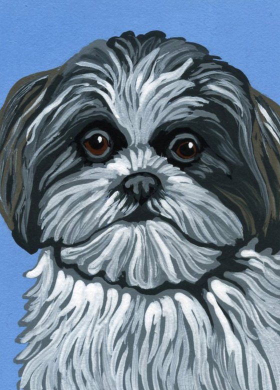 ACEO ATC Original Miniature Painting Shih Tzu Pet Dog Art-Carla Smale