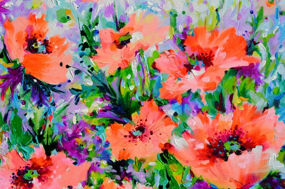 Oriental Poppies - Concert in Pink and Orange