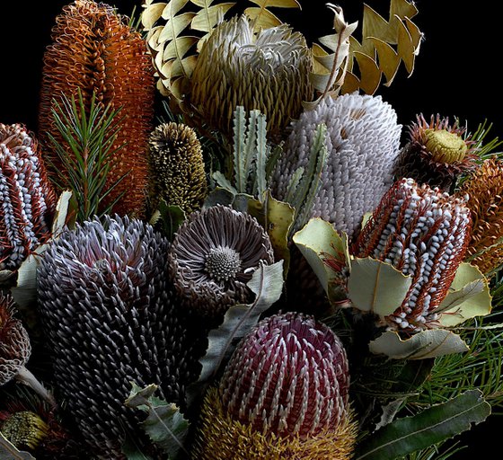 Banksia Bouquet