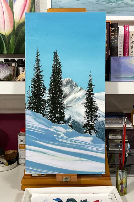 Winter Wonderland. Landscape