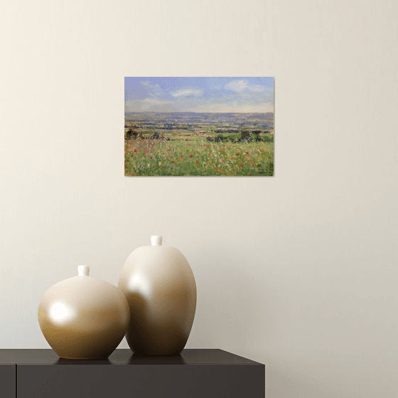 Fields near Sisteron