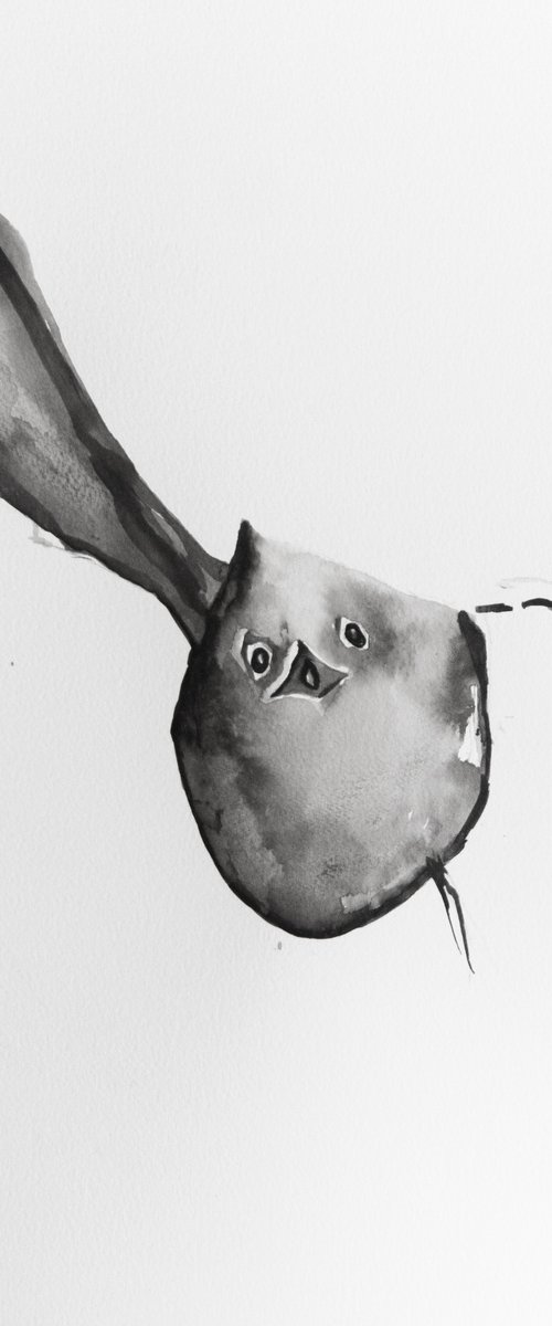 Bird by Nadia Moniatis