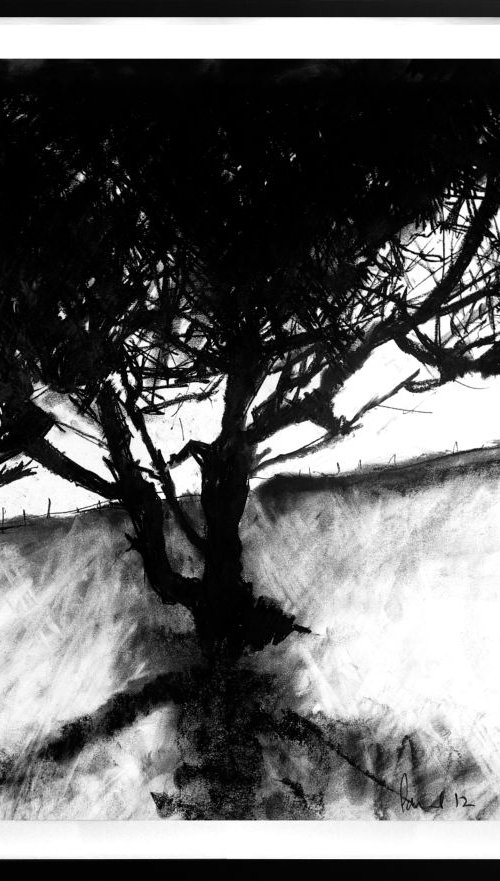 Lightning Tree, Golden Cap (or near) by Paul West