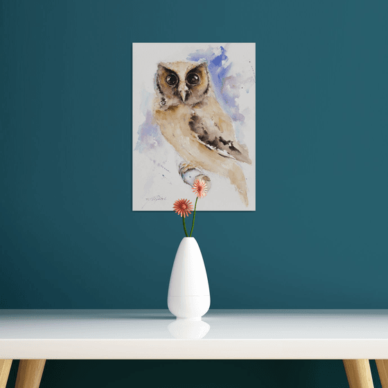 Cute Owl