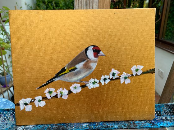 Golfinch ~ Framed