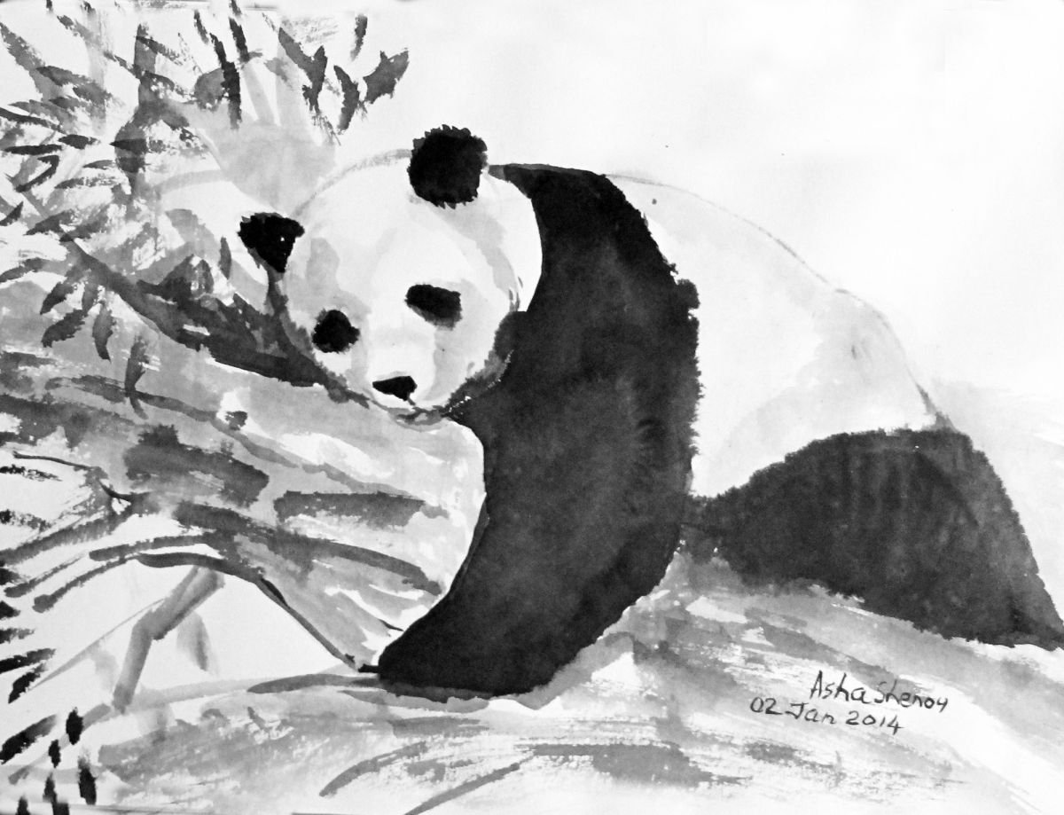 Giant Panda Animal art in Ink - A siesta 10x 14 by Asha Shenoy