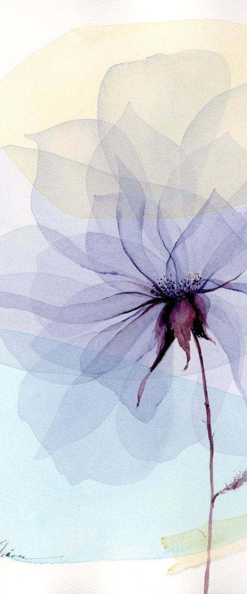 Shapes of Roses by Olga Koelsch