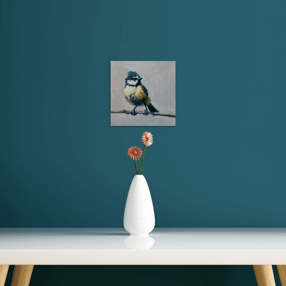 "Tit bird. "   birds 2021