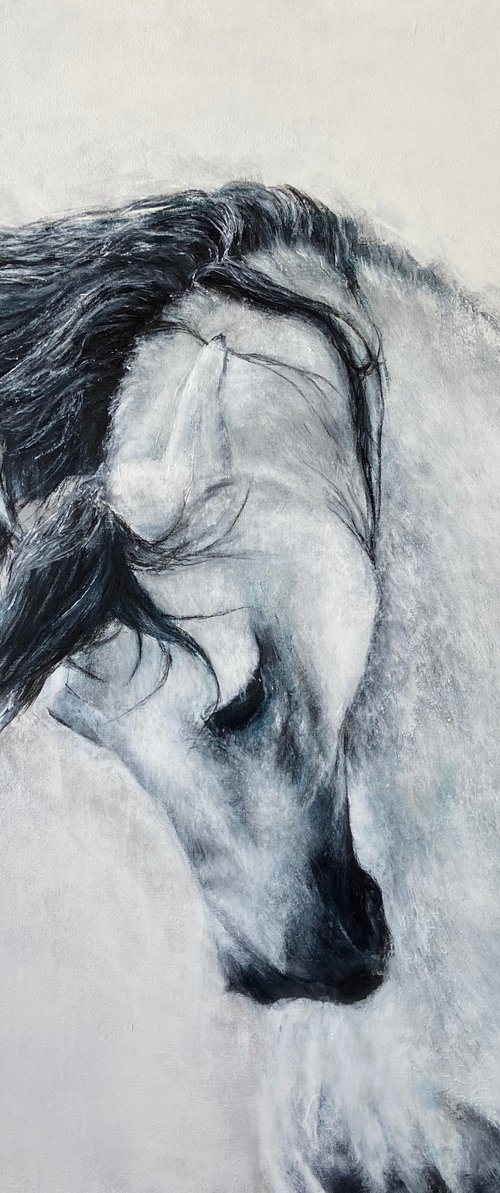 The Last Dance, White Horse by Paul Hardern