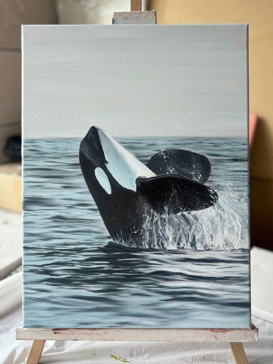 Smiling Orca