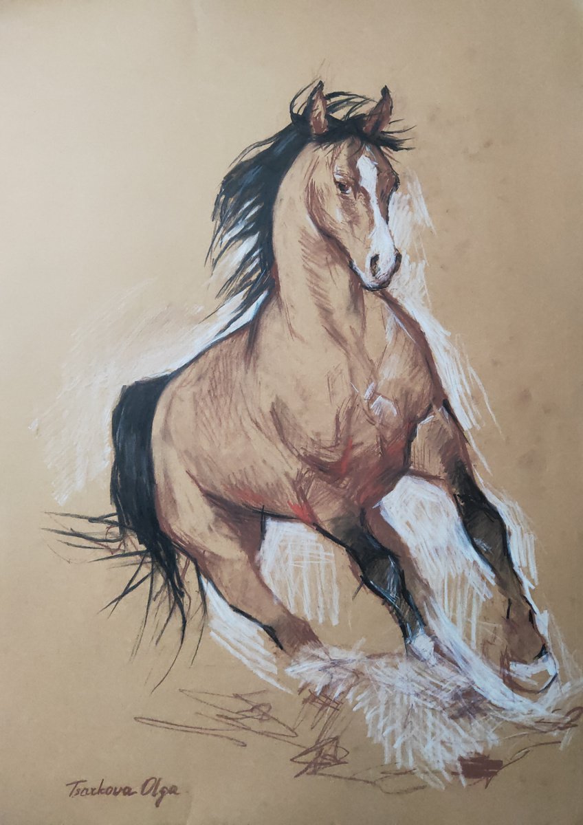 Running horse by Olga Tsarkova by Olga Tsarkova