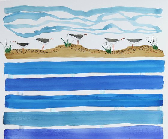 Seagulls Picnic