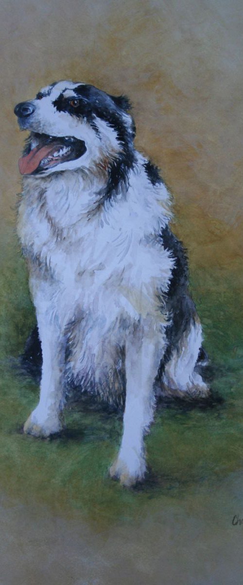 Thats My Collie by Christopher Hughes