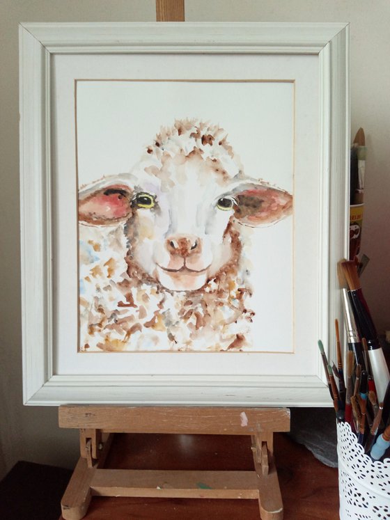 Sheep portrait.