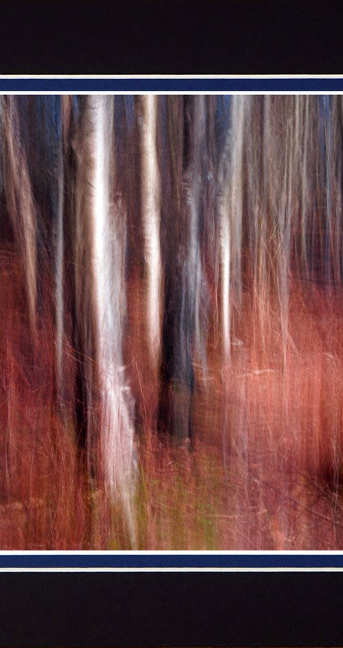 Deep in the Forest two with ICM Photography by Robin Clarke