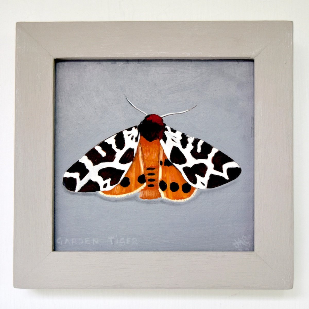 Garden Tiger Moth by Jem Gooding