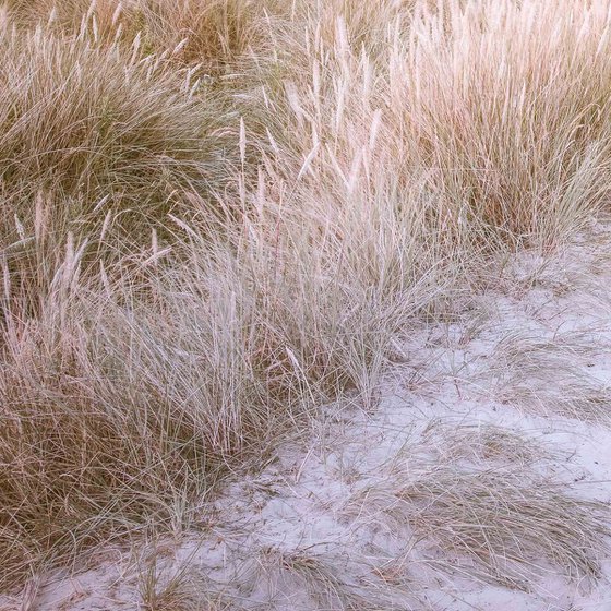 The Secret Beach, Scotland