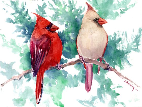 Cardinal Birds