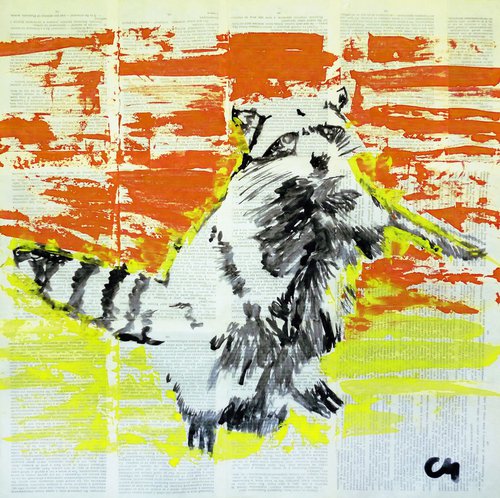 raccoon by Marat Cherny