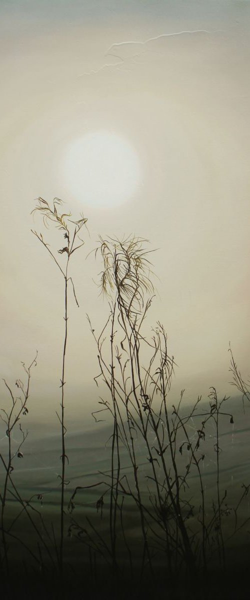 To grasp the last light by Kerry Lisa Davies