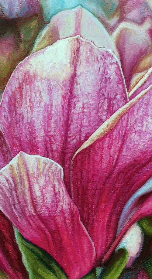 Original Pink Magnolia Flower Drawing | Luminous Magnolia Grandiflora | Romantic Floral Home Decor | Soft Pastels Art by Melissa Tobia