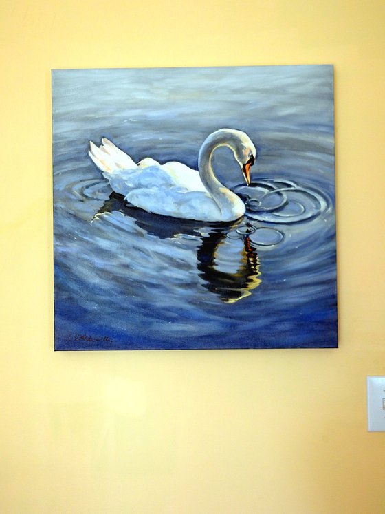 Swan SALE