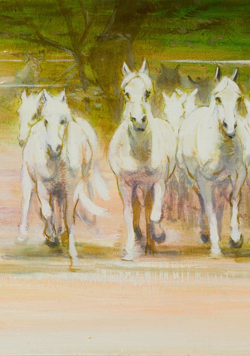 Lipizzaner by Alexander Levich