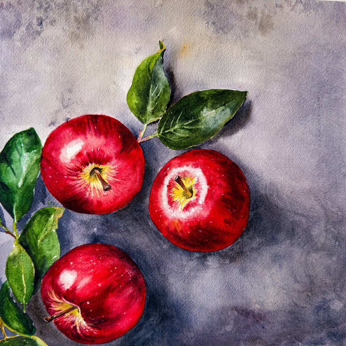 Photorealistic Watercolour , Red Apples On Cement V2 By Irina Kurganskaya, 12 X 12, Artwork For Sale On Artfinder