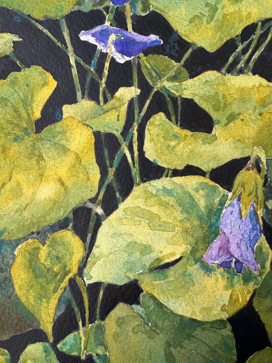 Violets on black