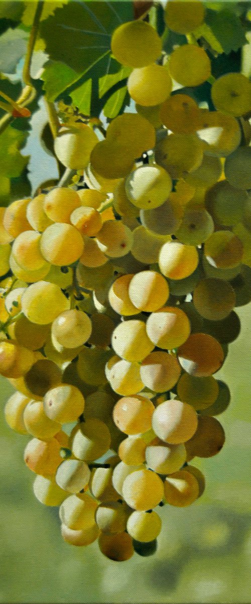 Grapes by Valeri Tsvetkov