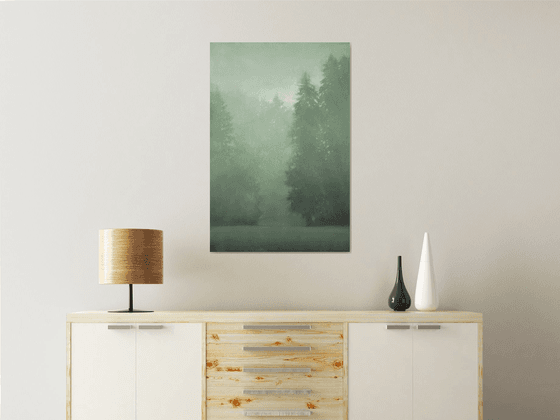 Misty Evergreens 102002, evergreen trees tonal landscape