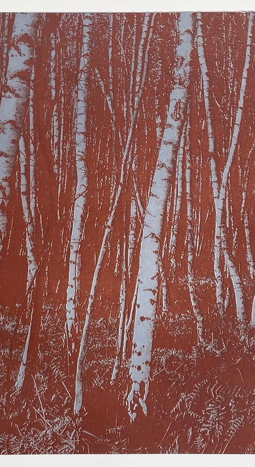 Wimbledon Birches by Simon Lawson