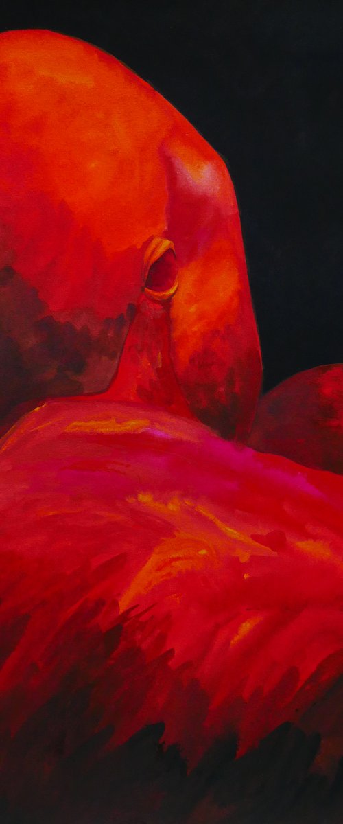 Dark Fire Flamingo by Karina Danylchuk