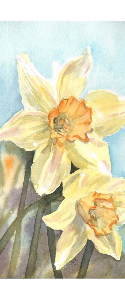 Daffodil Day by Sarah Stowe