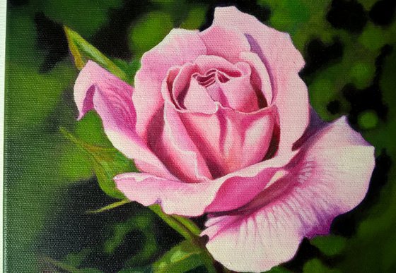 "A rose", an original oil painting on canvas