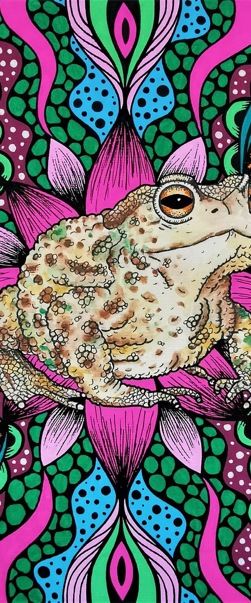 Psychedelic Toad - 21x21cm by Jodie Smallwood
