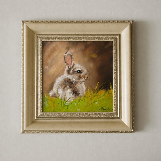 Cute Bunny