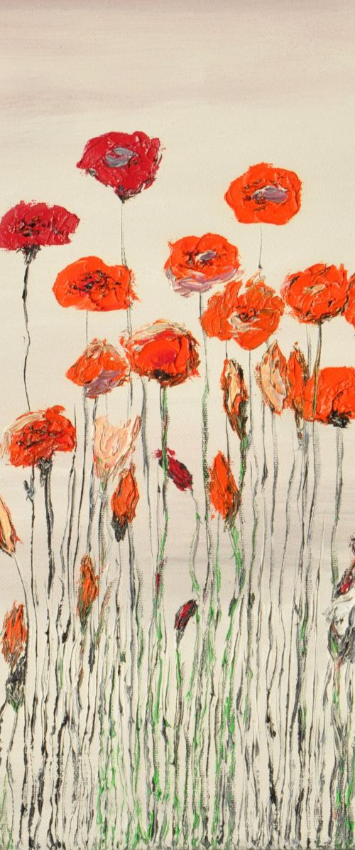 Wild Poppies 1 by Daniel Urbaník