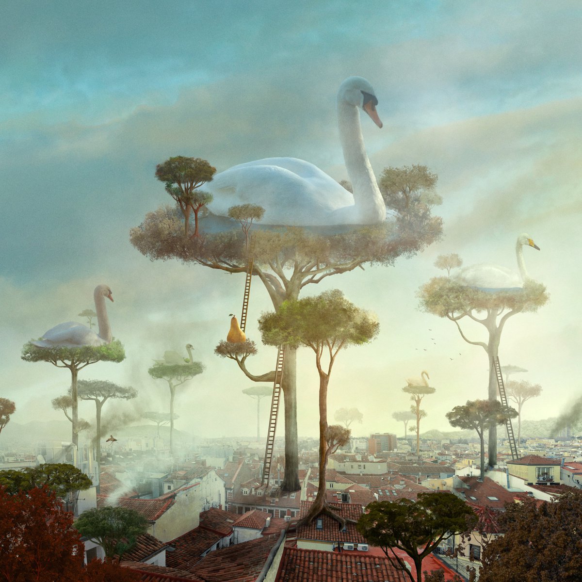 Surrealistic Animal Photograph By Nikolina Petolas, 22 X 22", The Swan Chronicles, Original Artwork