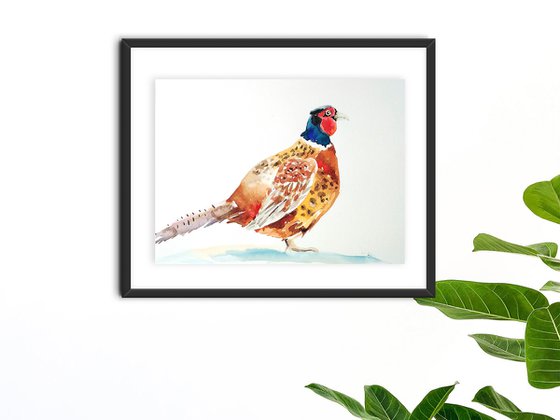 Pheasant bird watercolor