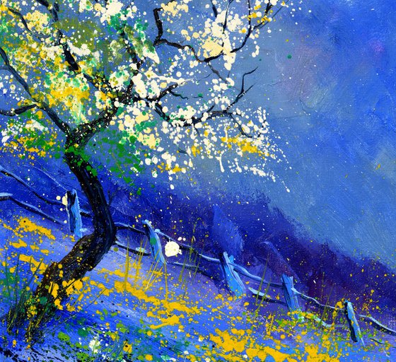 Blue spring
