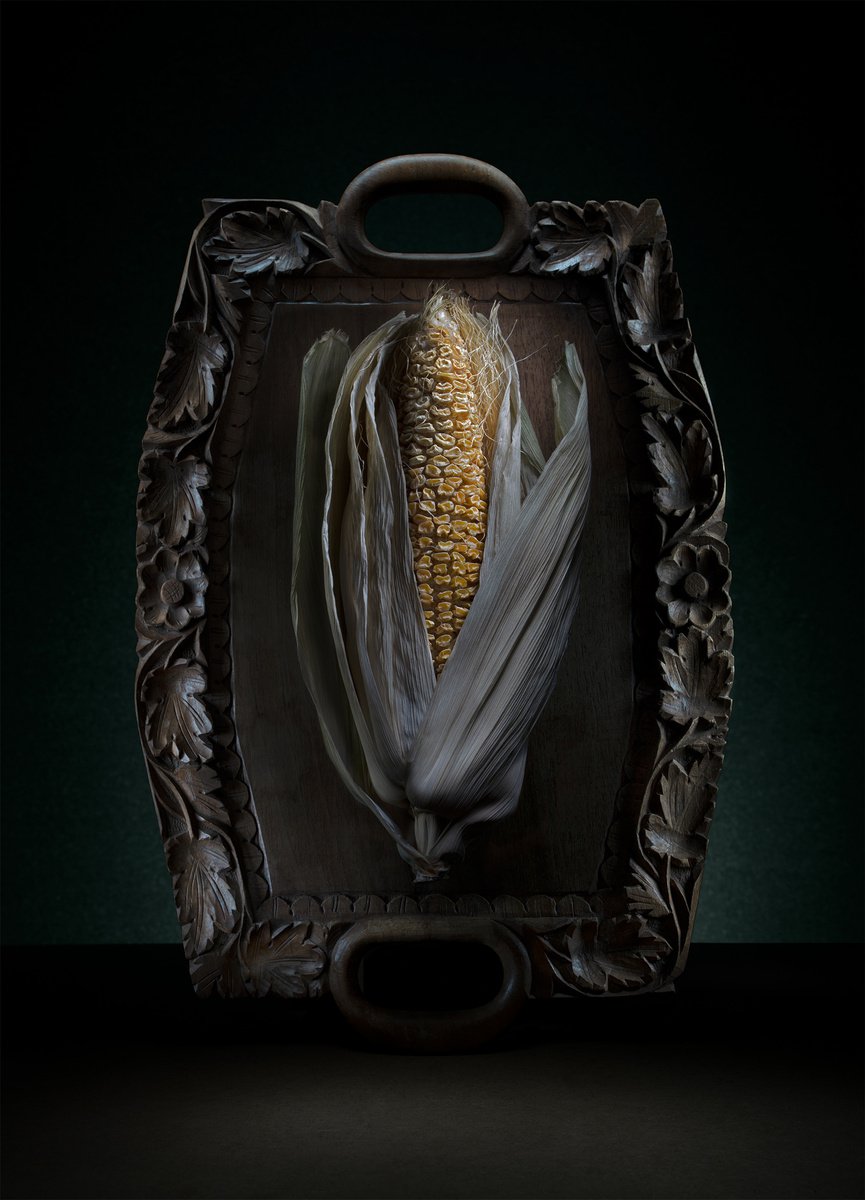 Sweetcorn by Vadims Pjatrikovs - PHOTOPORTRAYAL
