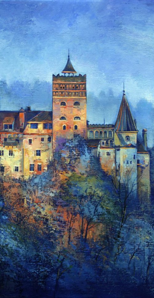 Dracula's Castle by Behshad Arjomandi