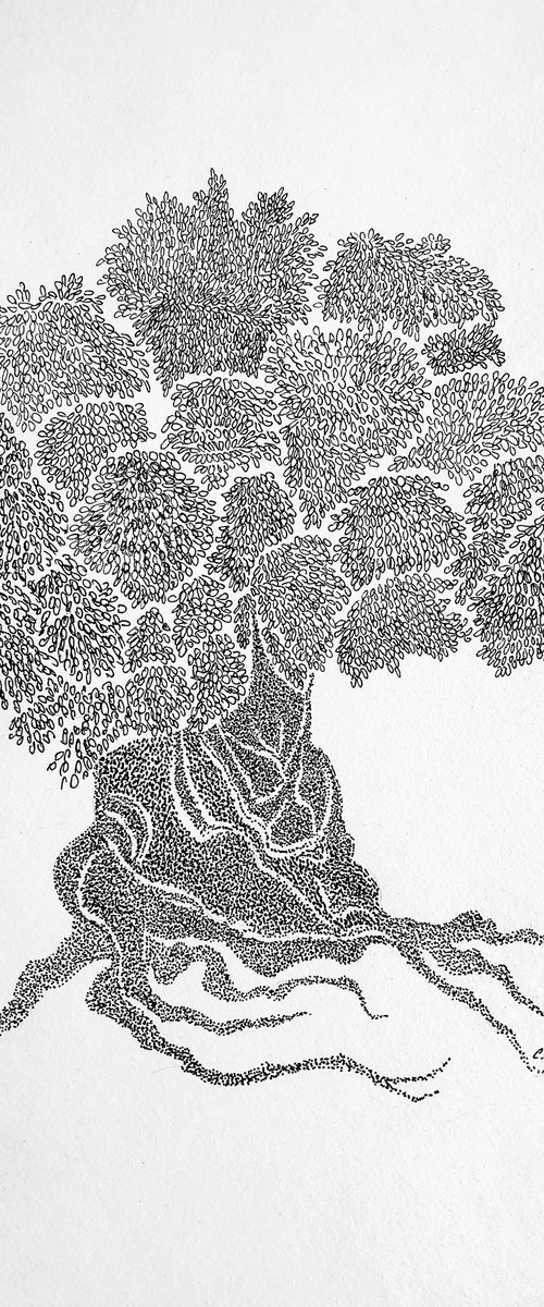 Olive Tree - ink on paper - dots by Cristina Stefan