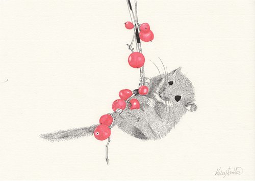 Dormouse handing from red berries by Kelsey Emblow
