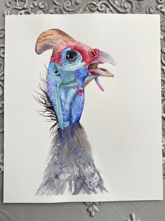 Portrait of funny Guinea bird