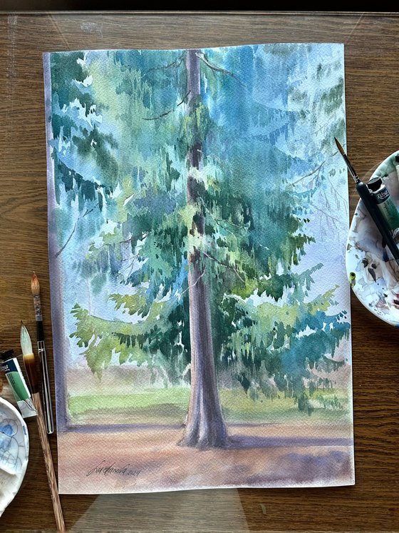 Pine