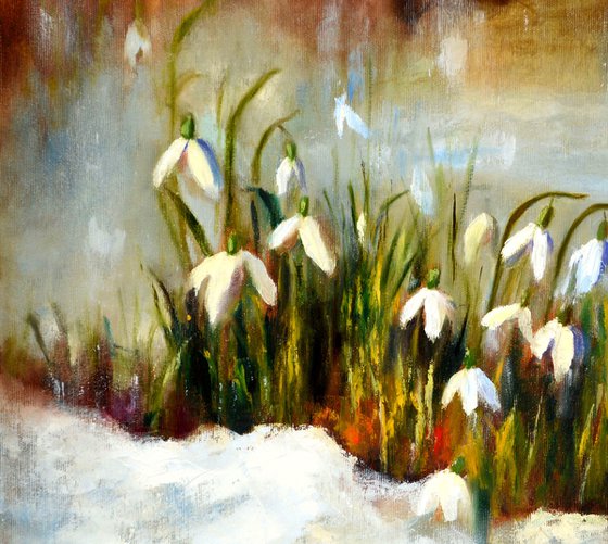 Snowdrops