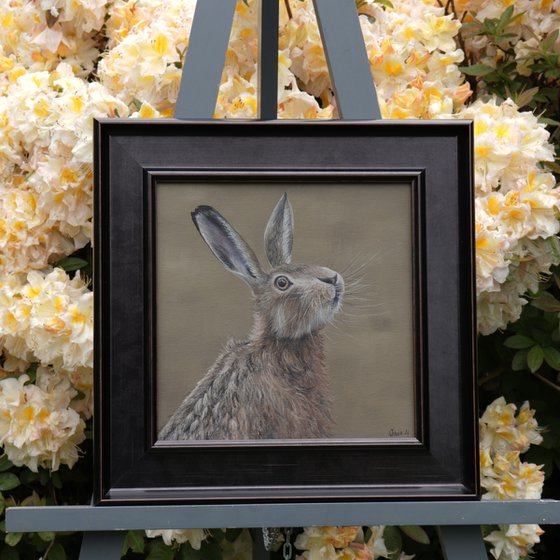 Portrait of a Hare III