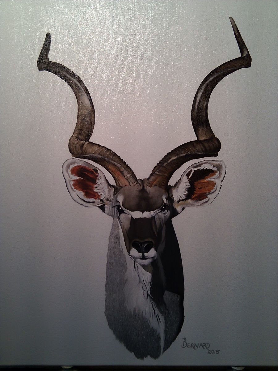 African Kudu ( Buck ) by Bernard Myburgh